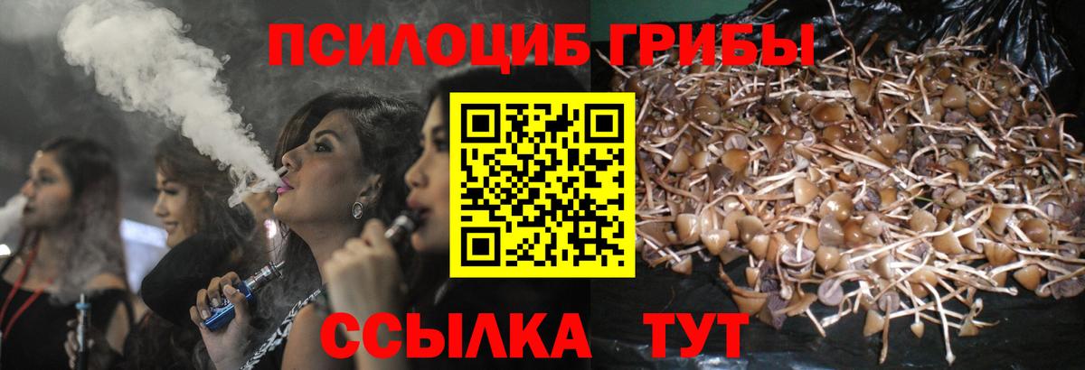 Галлюциногенные грибы прущие грибы Кисловодск