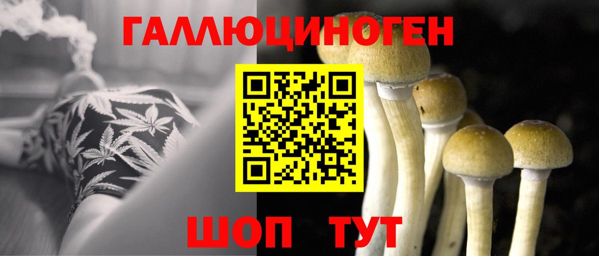 Кисловодск  Псилоцибиновые грибы GOLDEN TEACHER  дарнет шоп  Вход с VPN 